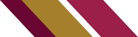 Logo institucional